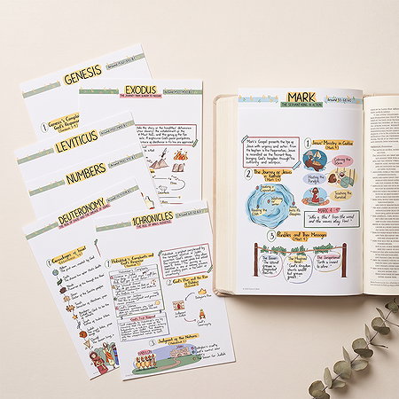 The Bible: Made Simple Tip-Ins (SB)